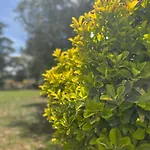 Agribio Ribes Lejlighed *
