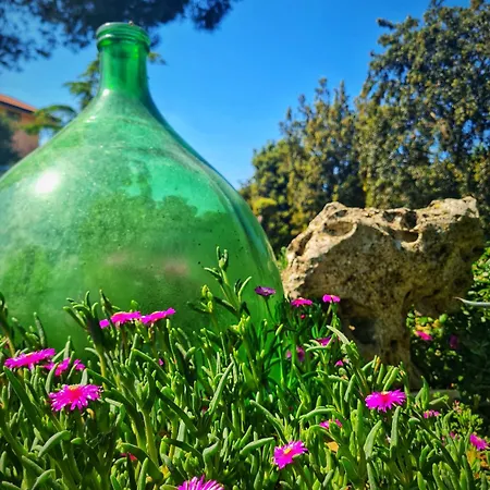 Agribio Ribes Apartment Altamura