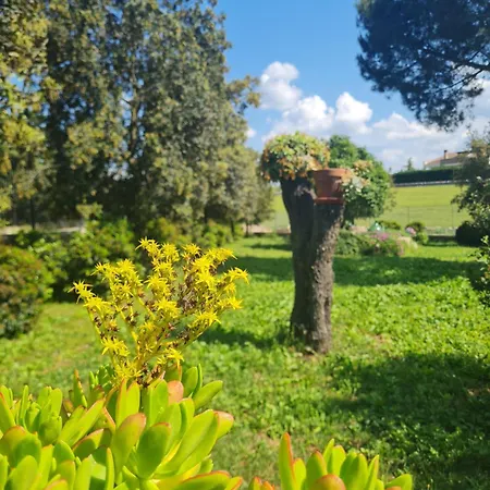 Agribio Ribes Appartement