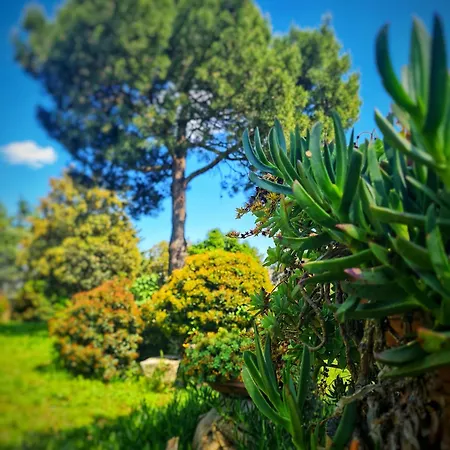 Agribio Ribes Appartement Altamura