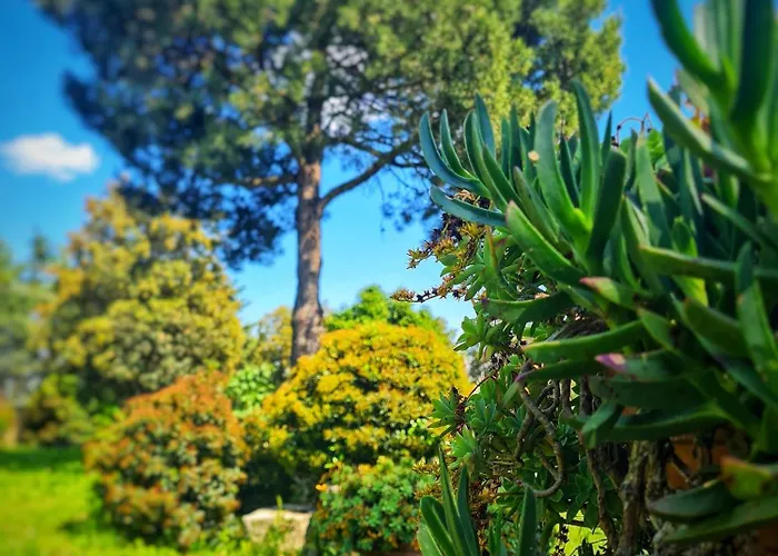 Agribio Ribes Apartman Altamura